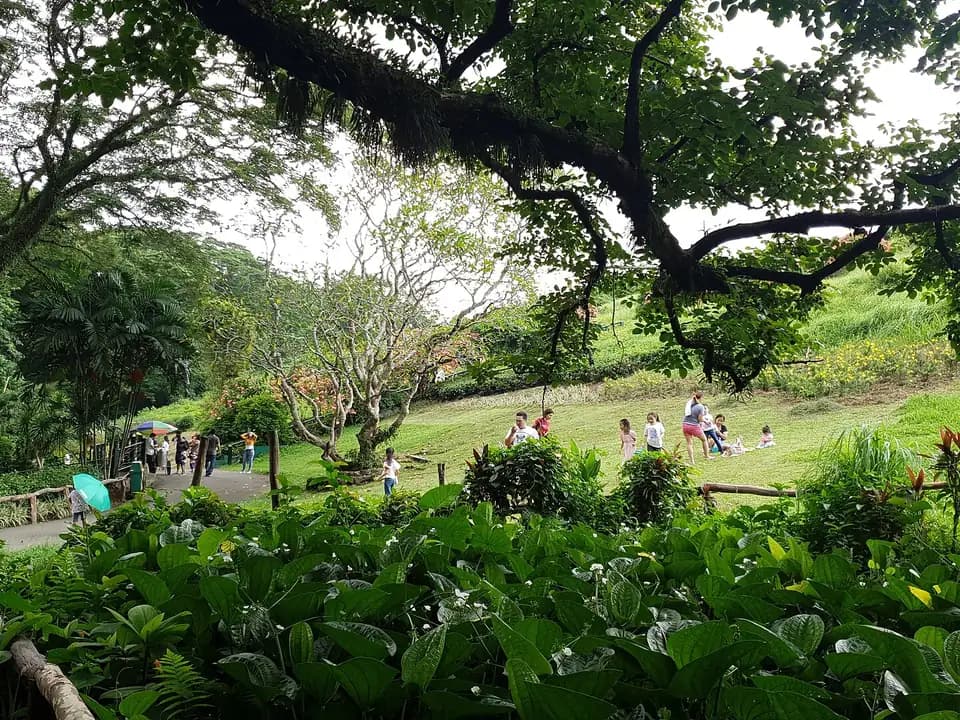 Gardens and picnic lawns under old trees at La Mesa Eco Park